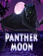 เว็บ บอล ฝาก ผ่าน ท รู วอ เลท ไม่มี ขั้น ต่ำ เล่นมันส์เต็มพิกัด!